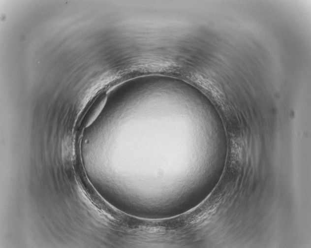 X0000087060582200704251031