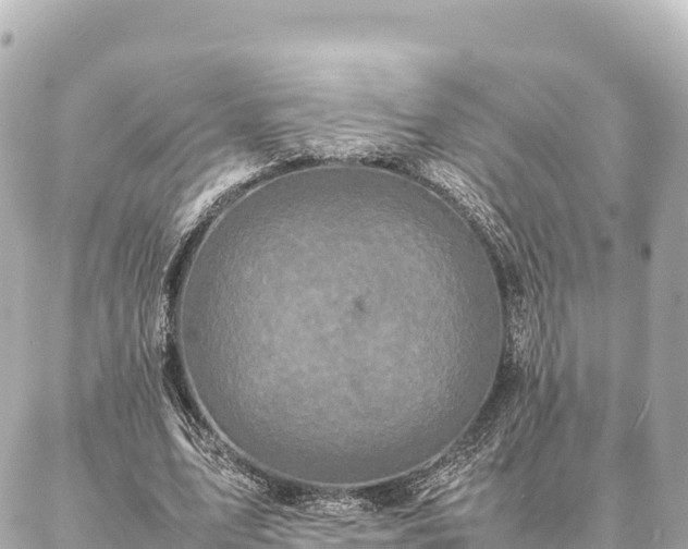 X0000087060583200704251031