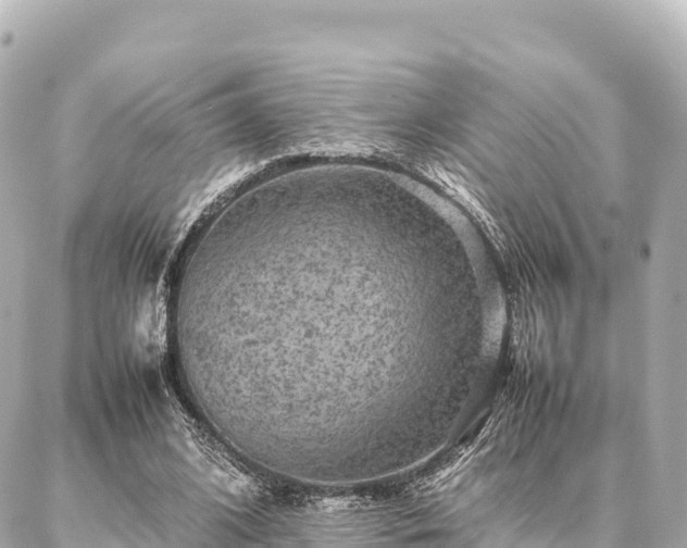 X0000087060584200704251031