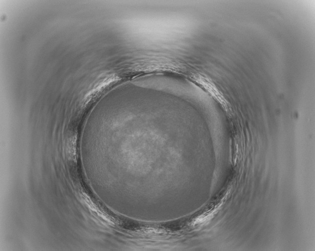 X0000087060585200704251031