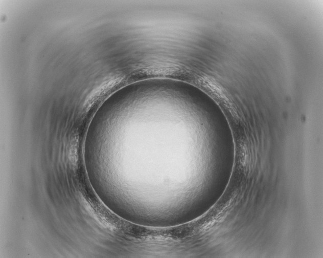 X0000087060586200704251031