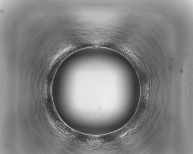 X0000087060587200704251031