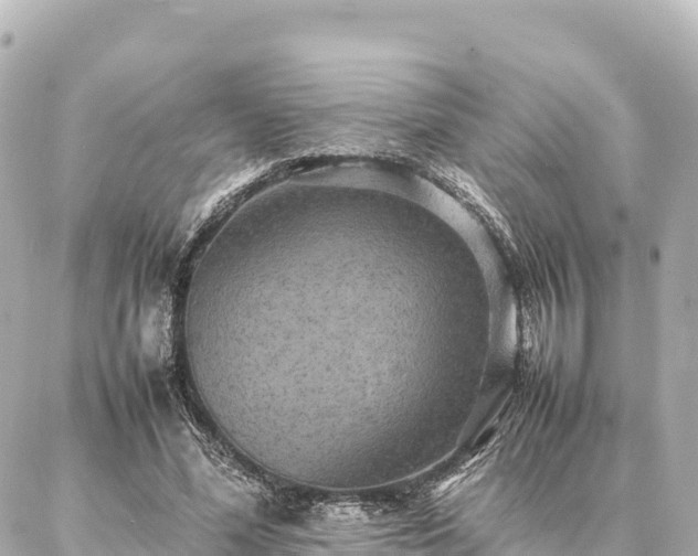 X0000087060588200704251031