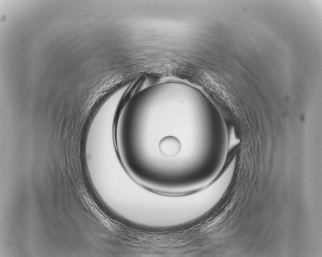 X0000087060589200704251031