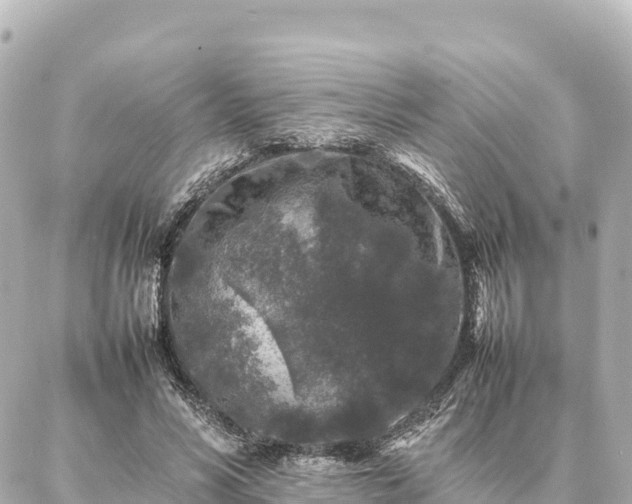 X0000087060590200704251031