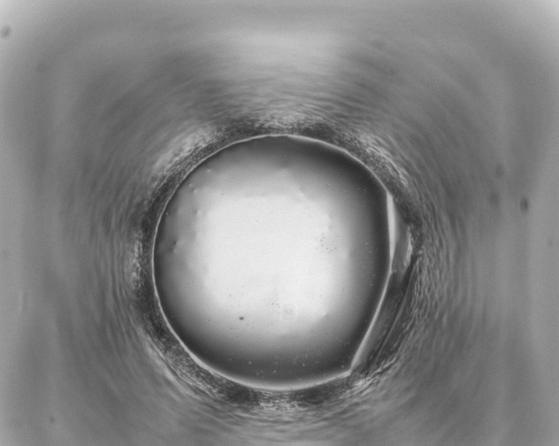 X0000087060591200704251031