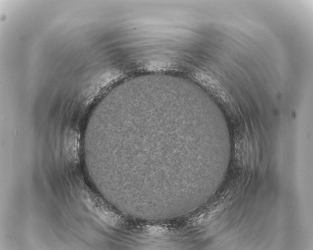 X0000087060592200704251031