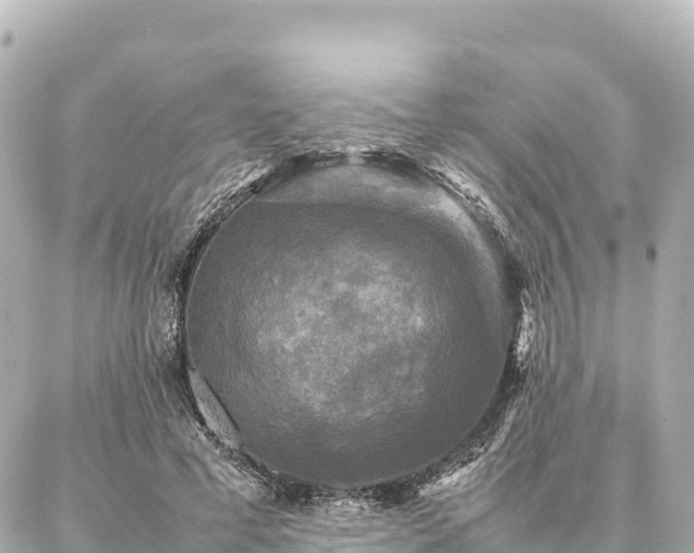 X0000087060593200704251031