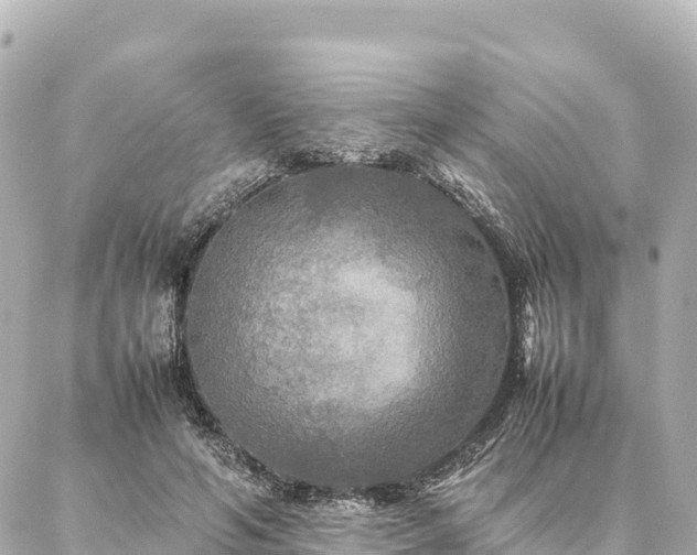 X0000087060594200704251031