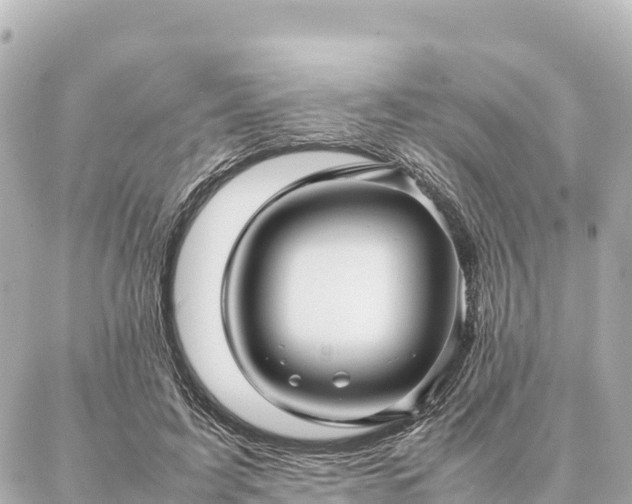 X0000087060595200704251031