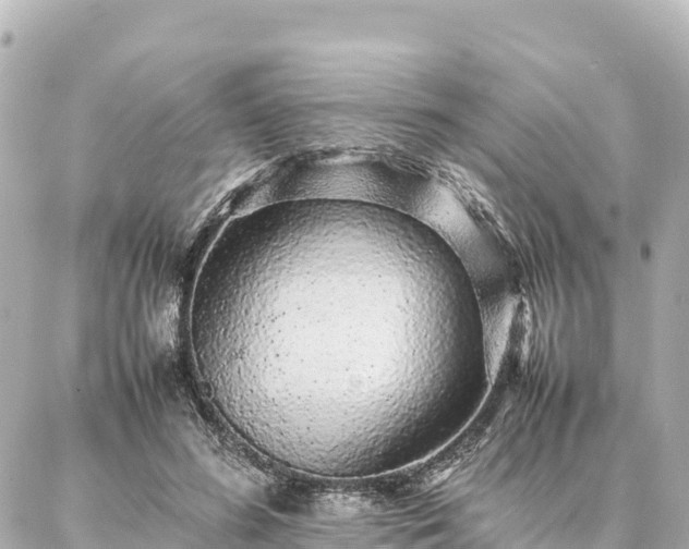 X0000087060596200704251031