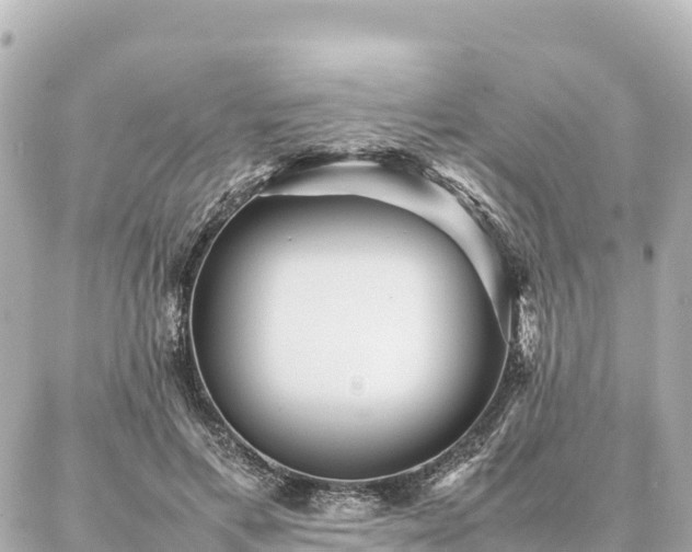 X0000087060597200704251031