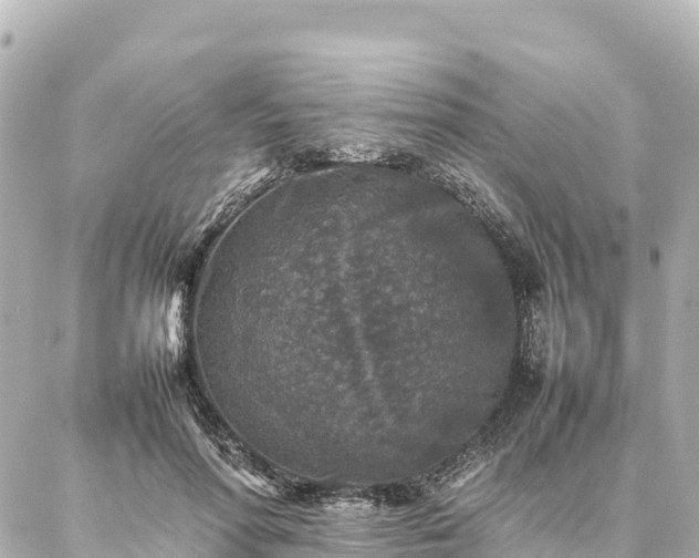 X0000087060598200704251031