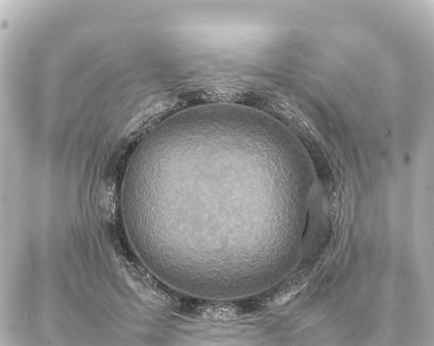 X0000087060599200704251031