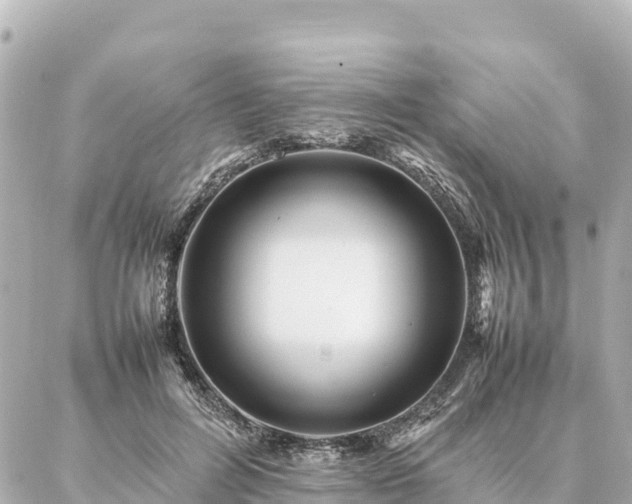 X0000087060600200704251031