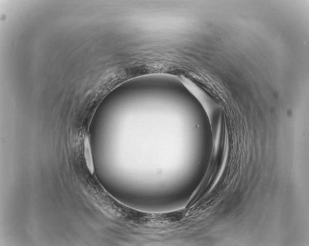 X0000087060601200704251031