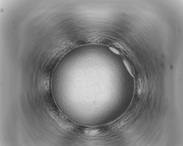 X0000087060602200704251031