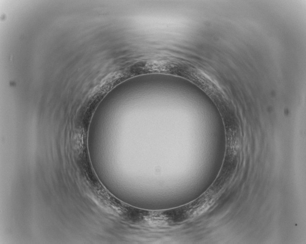 X0000087060603200704251031