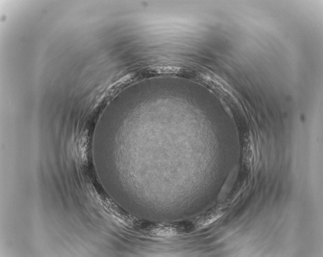 X0000087060604200704251031