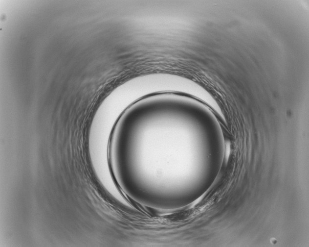 X0000087060605200704251031