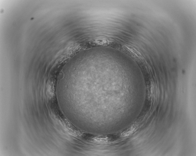 X0000087060606200704251031