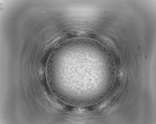 X0000087060607200704251031