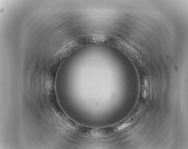 X0000087060608200704251031