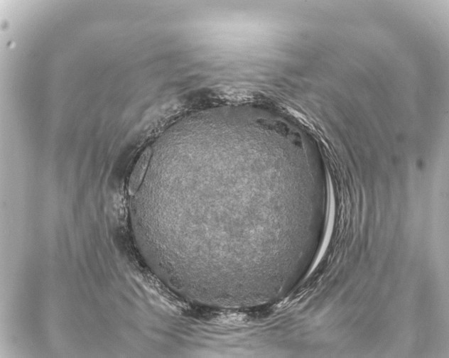 X0000087060609200704251031