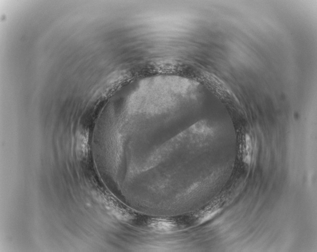 X0000087060610200704251031