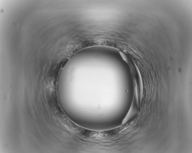 X0000087060611200704251031