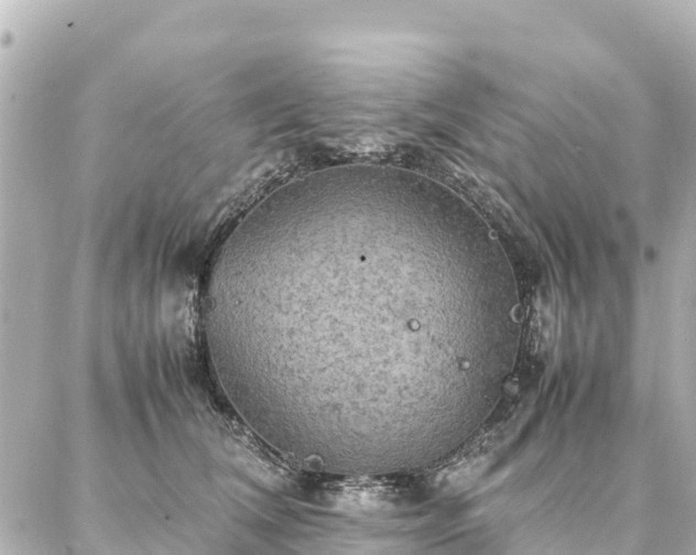 X0000087060612200704251031