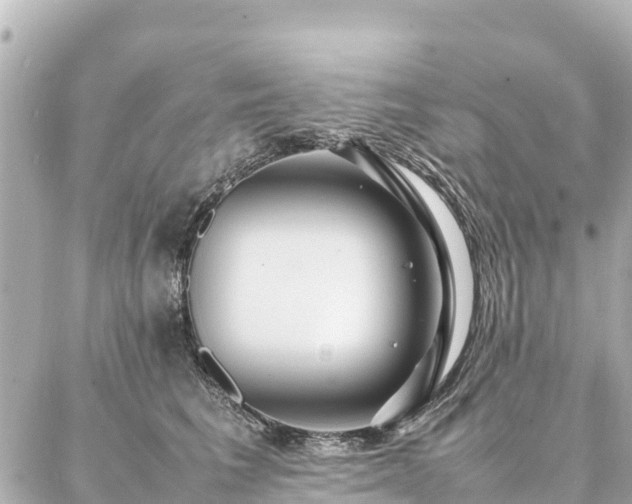 X0000087060613200704251031