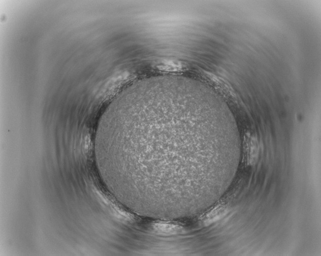 X0000087060614200704251031