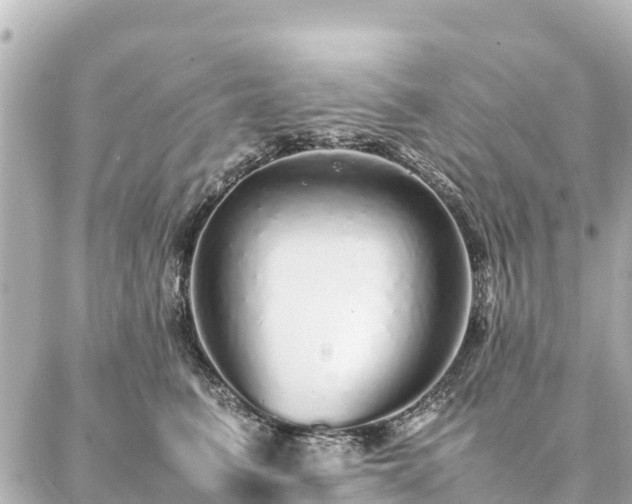 X0000087060615200704251031