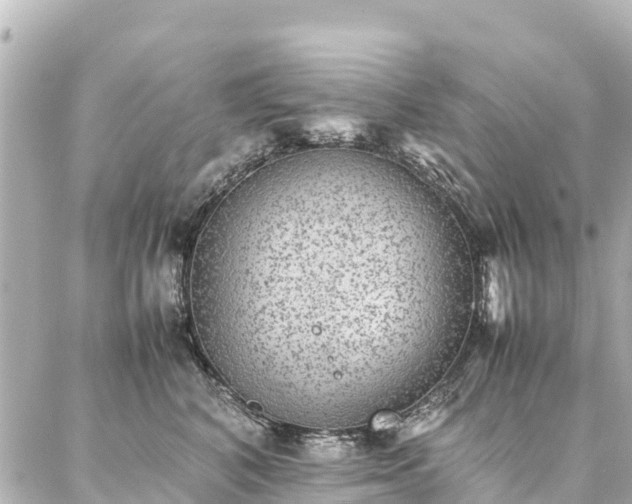 X0000087060616200704251031