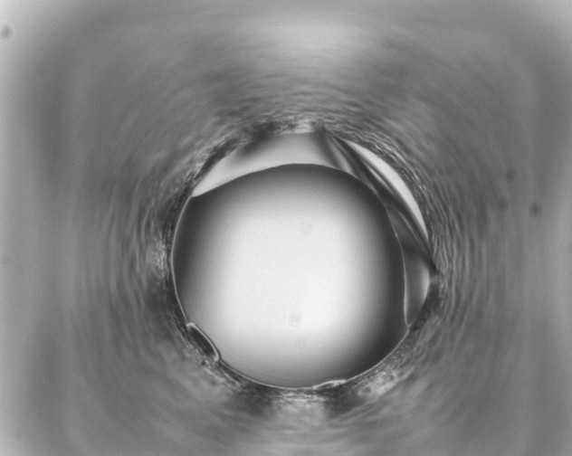 X0000087060617200704251031