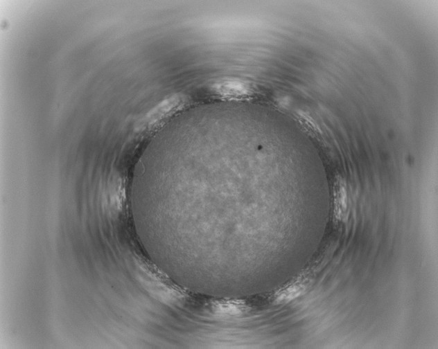 X0000087060618200704251031