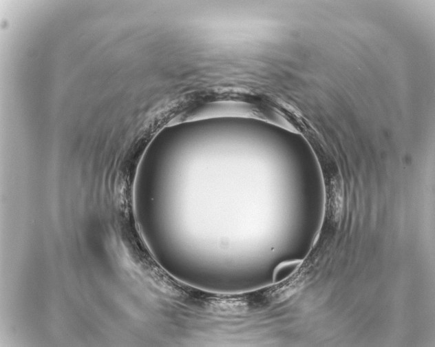 X0000087060619200704251031