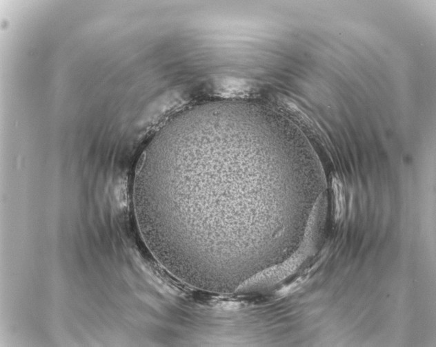 X0000087060620200704251031