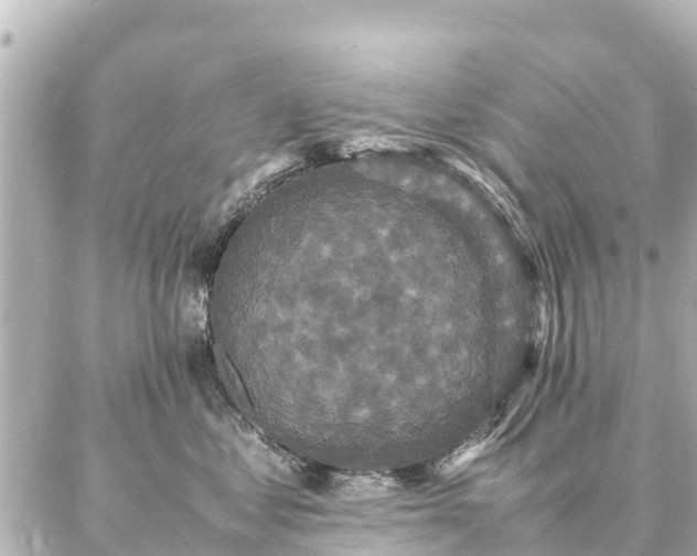 X0000087060621200704251031