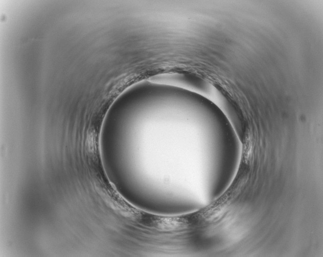 X0000087060623200704251031