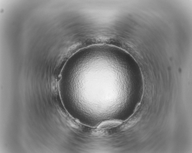 X0000087060624200704251031