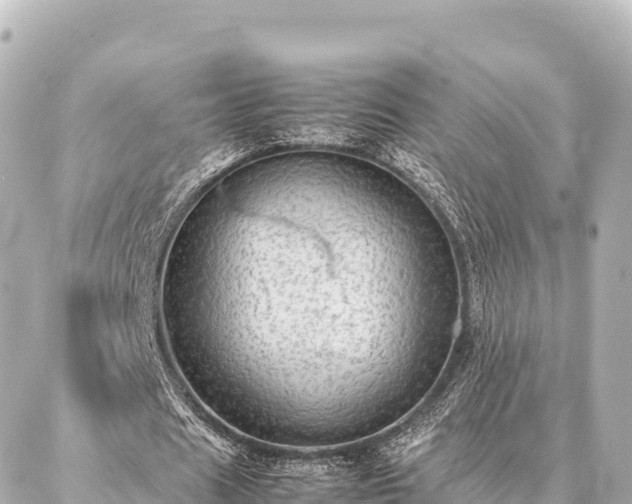 X0000087060625200704251030