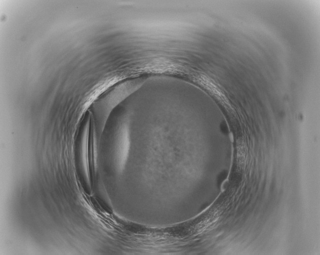 X0000087060626200704251030