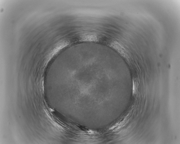 X0000087060627200704251030