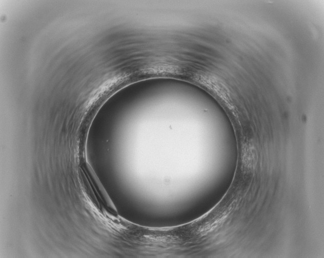 X0000087060629200704251030