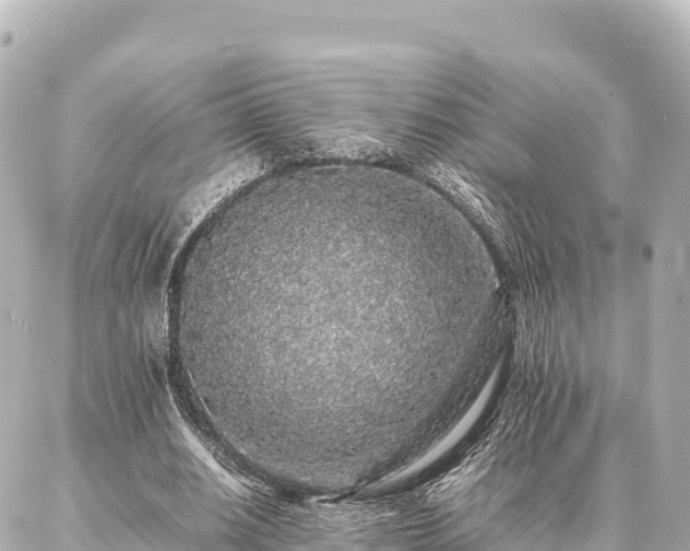 X0000087060630200704251030