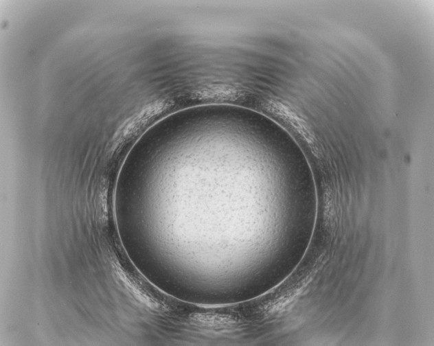 X0000087060633200704251030