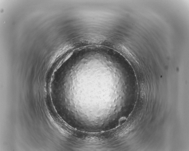 X0000087060634200704251030