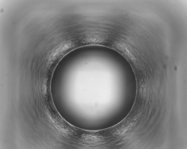 X0000087060635200704251030